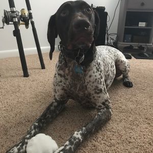 Meet your Posher, Cassandra